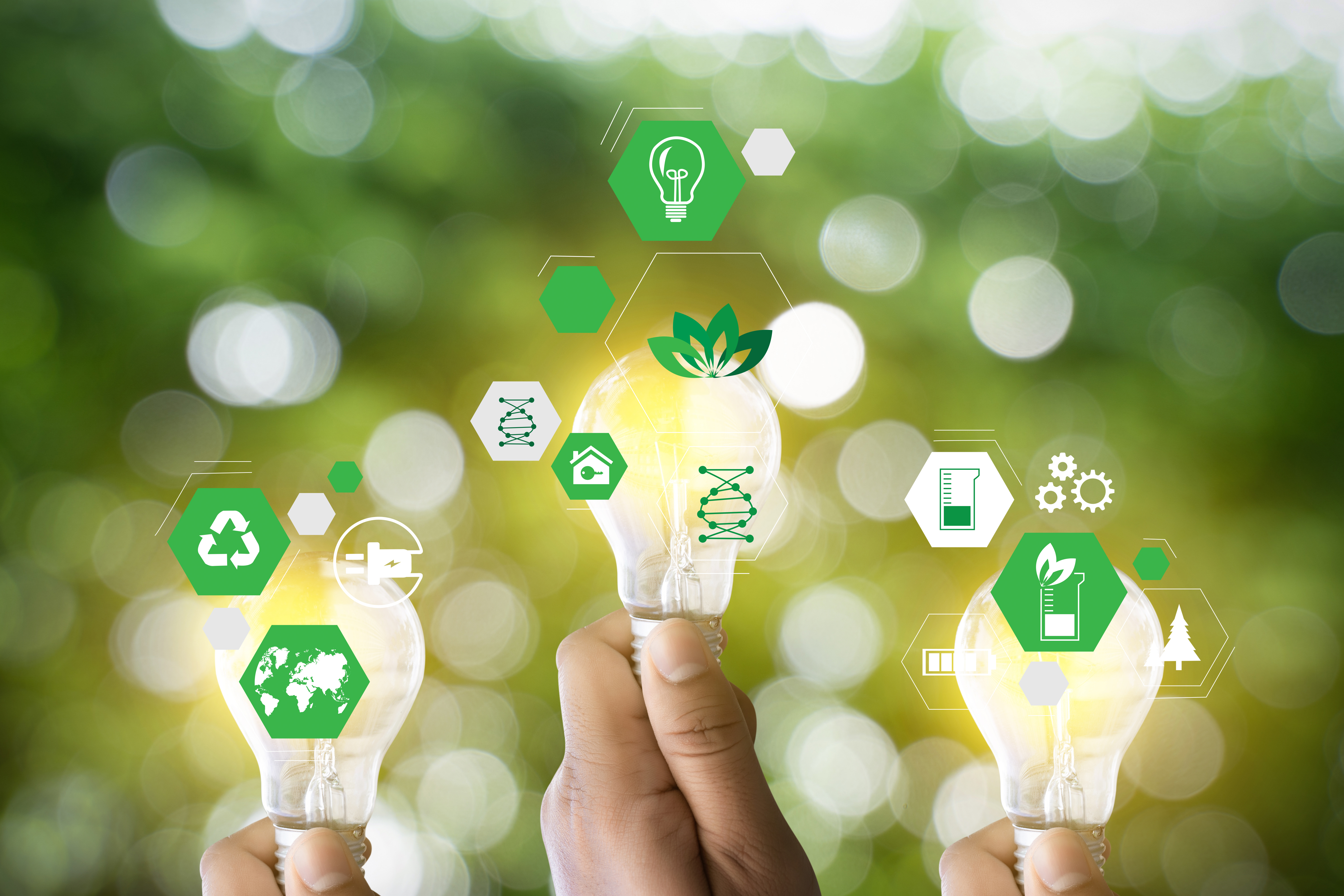Softonic launches new ad sustainability initiative, reducing 21% of carbon emission